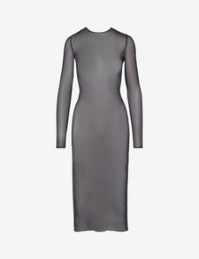 Chic Mesh Long Sleeve Midi Dress